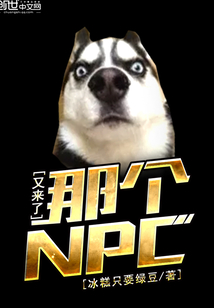 那个npc又杀疯了 ...